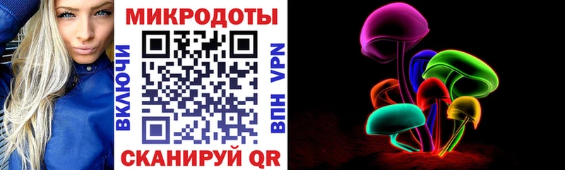 купить наркоту  Спас-Клепики  Галлюциногенные грибы Cubensis 